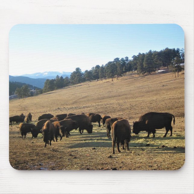 Bison in Colorado Mouse Mat (Front)