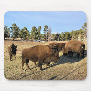 Bison in Colorado Mouse Mat
