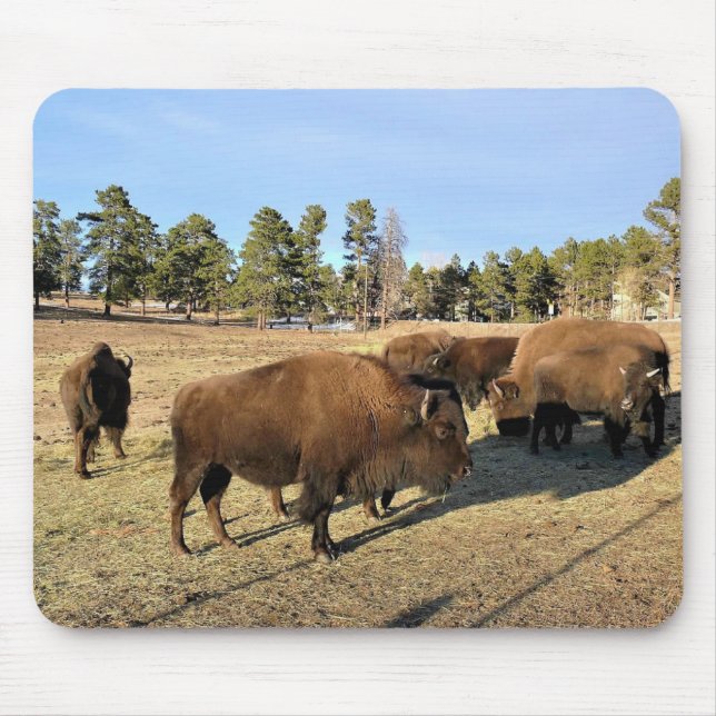 Bison in Colorado Mouse Mat (Front)