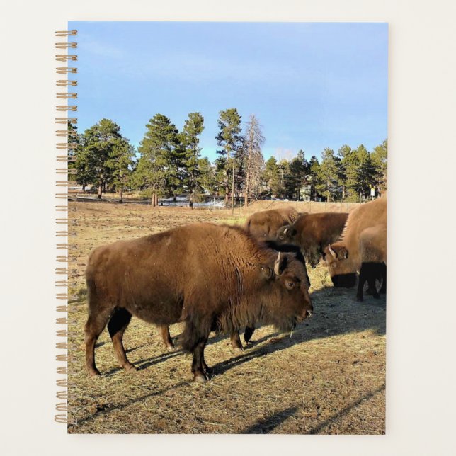 Bison in Colorado Planner (Front)