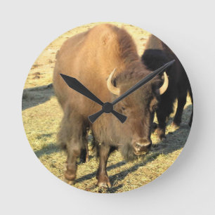 Bison in Colorado Round Clock