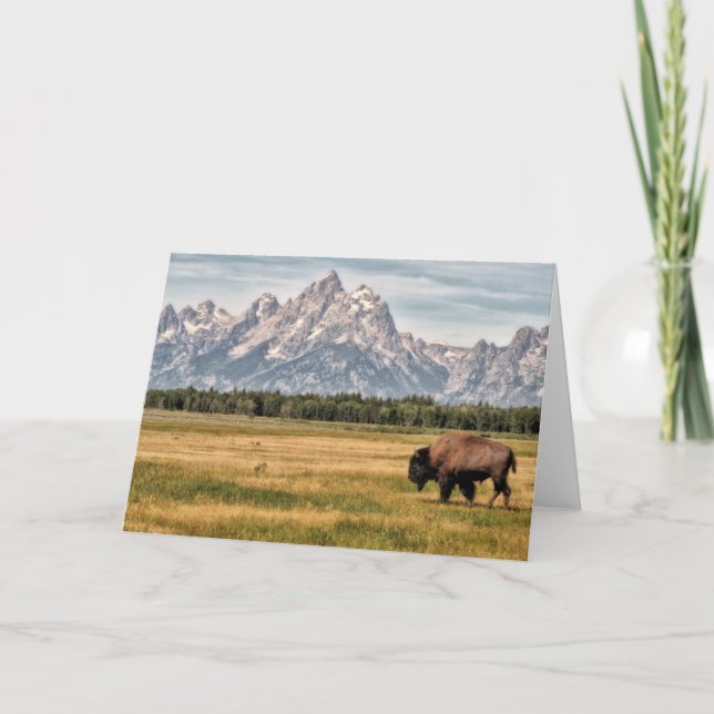 Bison in the Tetons Card (Front)