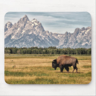 Bison in the Tetons Mouse Mat
