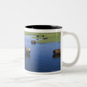 Bison In The Water With Numerous Cliff Swallows Two-Tone Coffee Mug