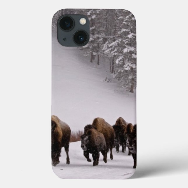 Bison in Winter Case-Mate iPhone Case (Back)