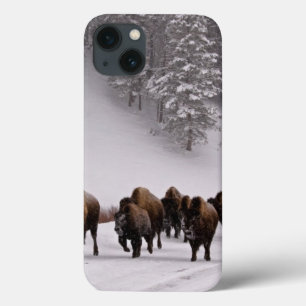 Bison in Winter iPhone 13 Case