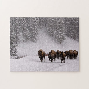 Bison in Winter Jigsaw Puzzle