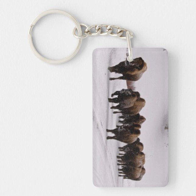 Bison in Winter Key Ring (Front)