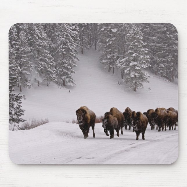 Bison in Winter Mouse Mat (Front)