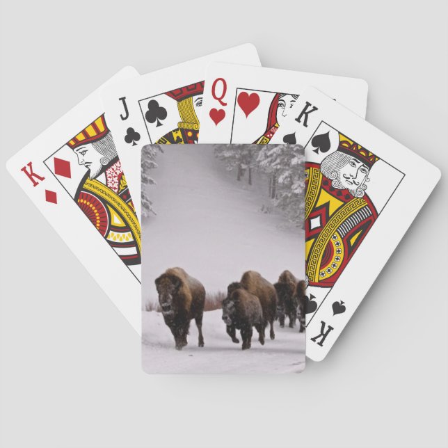 Bison in Winter Playing Cards (Back)