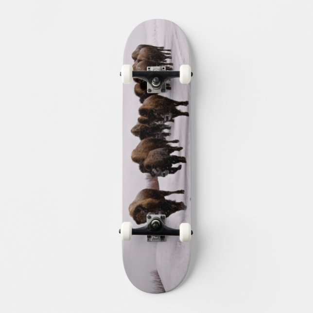 Bison in Winter Skateboard (Front)