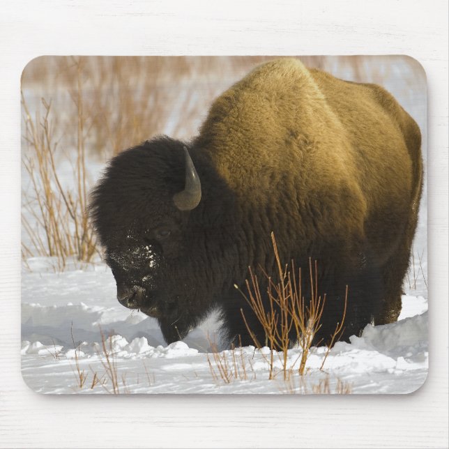 Bison in Winter Yellowstone National Park Mouse Mat (Front)