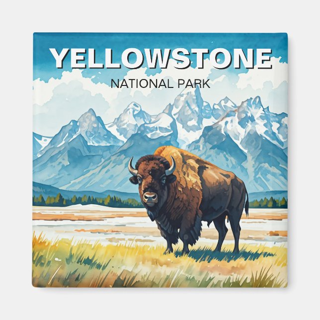 Bison in Yellowstone National Park Magnet (Front)