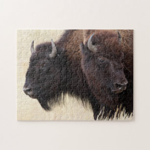 bison jigsaw puzzle