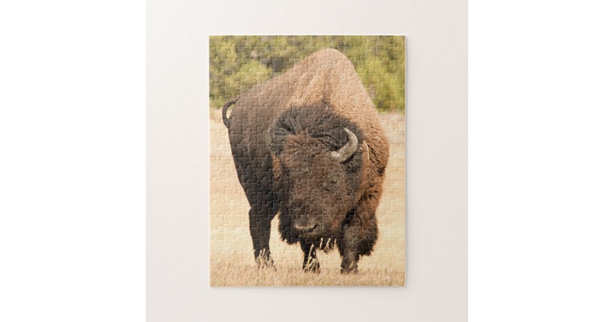 Bison Jigsaw Puzzle | Zazzle