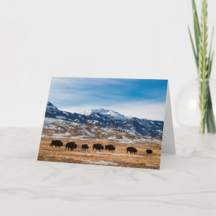 Bison Migration Card