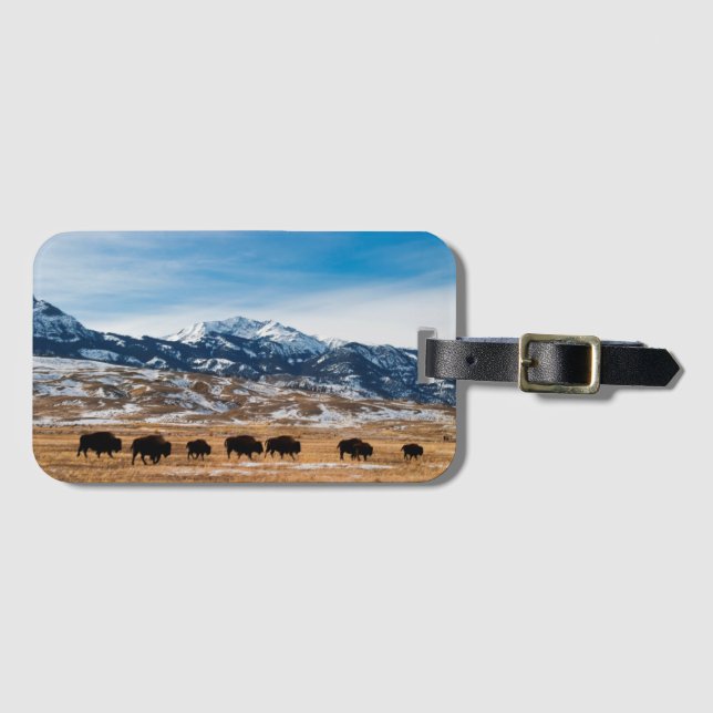 Bison Migration Luggage Tag (Front Horizontal)