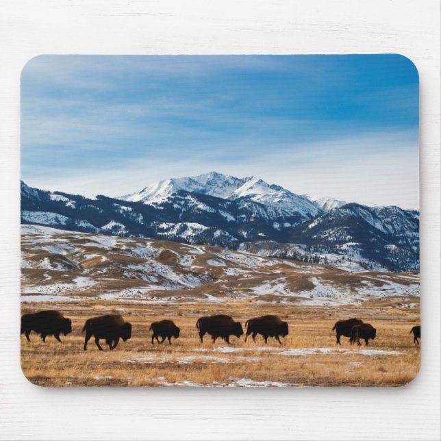 Bison Migration Mouse Mat (Front)