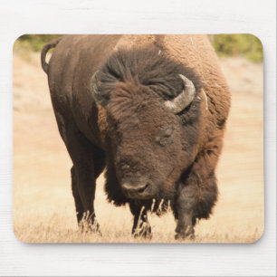 Bison Mouse Mat