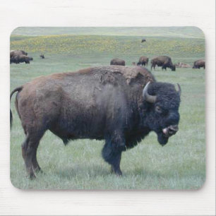 Bison Mouse Mat