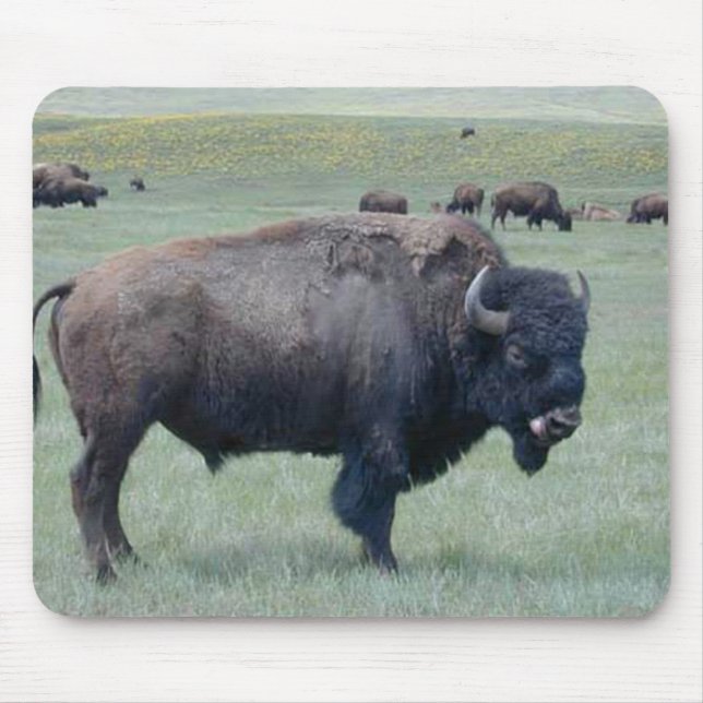 Bison Mouse Mat (Front)