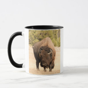 Bison Mug
