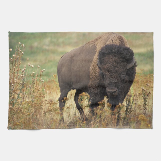 Bison photo tea towel (Horizontal)