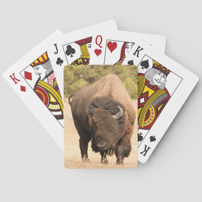 Bison Playing Cards (Back)