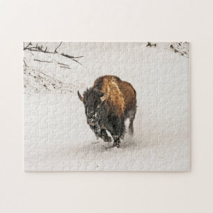 Bison Plodding Through Snow - 252 piece Jigsaw Puzzle