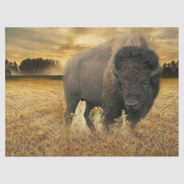 Bison Prairie Tissue Paper (Front)