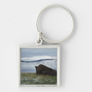 Bison Resting By Yellowstone River With Snow On Key Ring