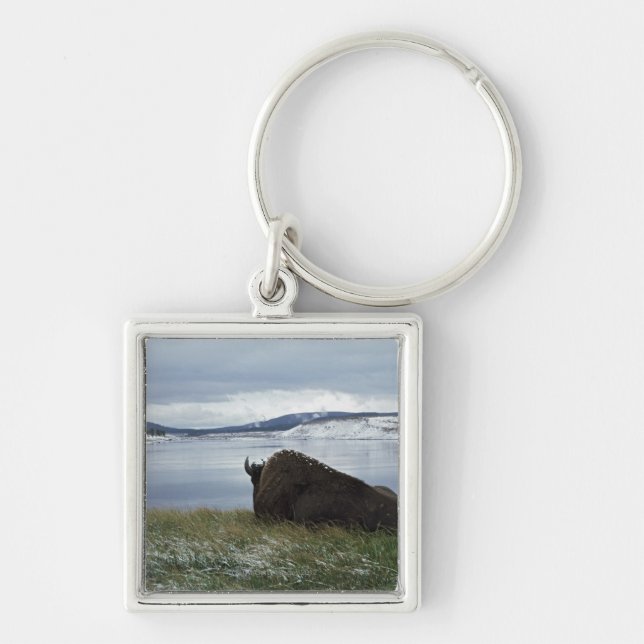 Bison Resting By Yellowstone River With Snow On Key Ring (Front)