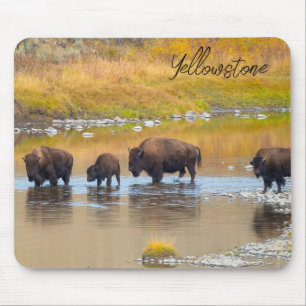 Bison River Crossing Yellowstone National Park Mouse Mat