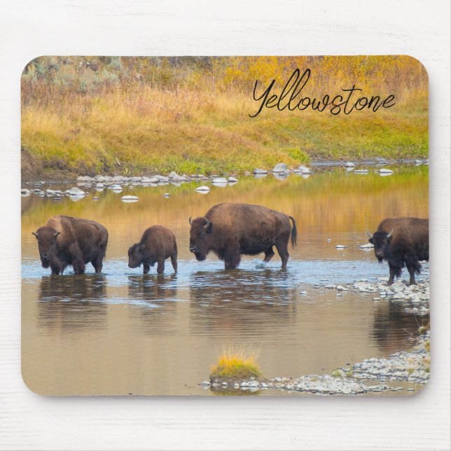 Bison River Crossing Yellowstone National Park Mouse Mat (Front)