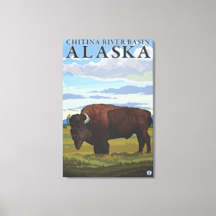 Bison Scene - Chitina River Basin, Alaska Canvas Print