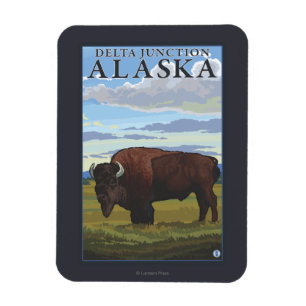 Bison Scene - Delta Junction, Alaska Magnet