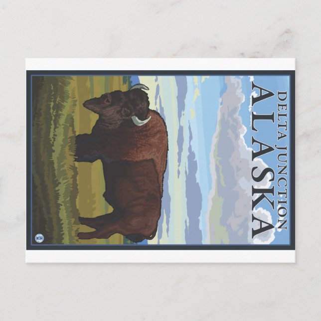 Bison Scene - Delta Junction, Alaska Postcard (Front)