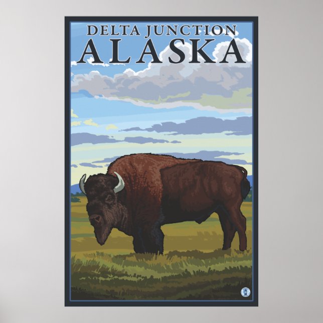 Bison Scene - Delta Junction, Alaska Poster (Front)