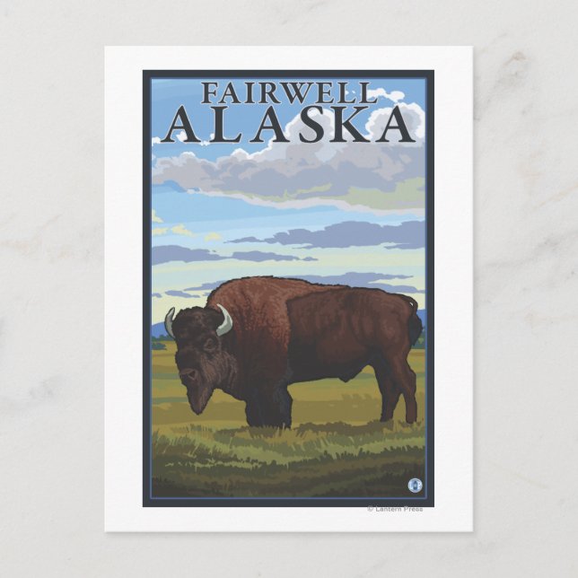 Bison Scene - Fairwell, Alaska Postcard (Front)