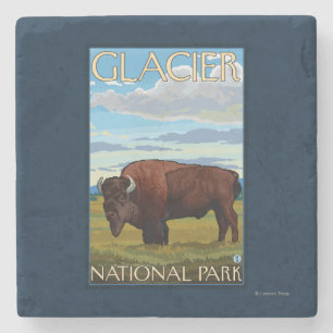 Bison Scene - Glacier National Park, MT Stone Coaster