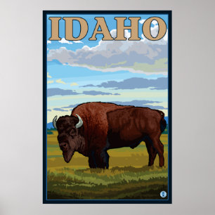 Bison Scene - Idaho Poster