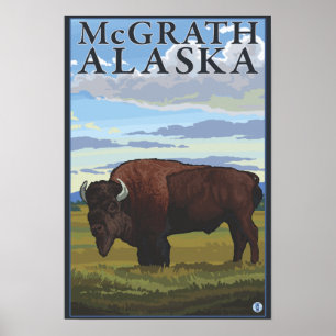 Bison Scene - McGrath, Alaska Poster