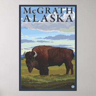 Bison Scene - McGrath, Alaska Poster