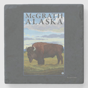 Bison Scene - McGrath, Alaska Stone Coaster
