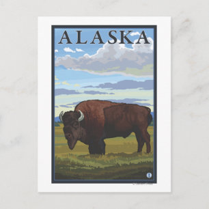 Bison Scene- Vintage Travel Poster Postcard