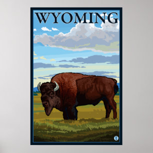 Bison Scene - Wyoming Poster