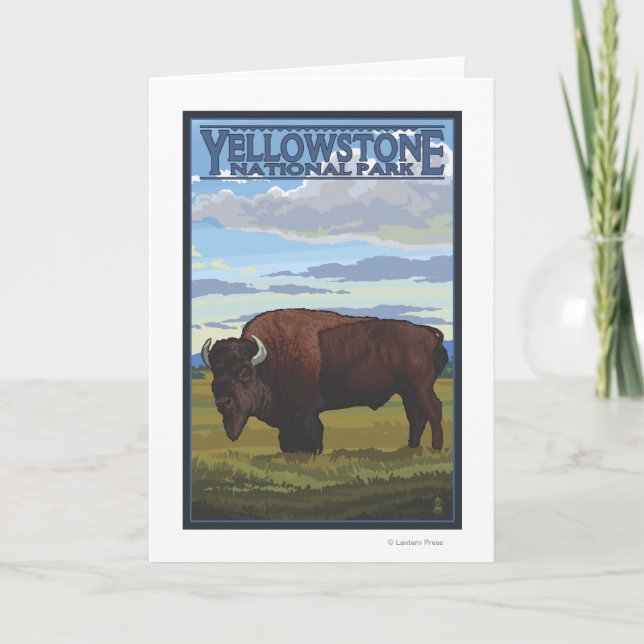 Bison Scene - Yellowstone National Park Card (Front)