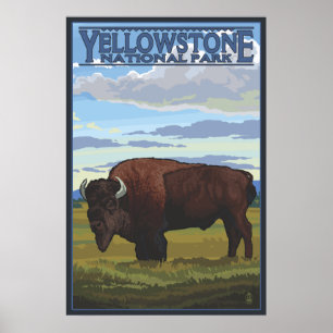 Bison Scene - Yellowstone National Park Poster