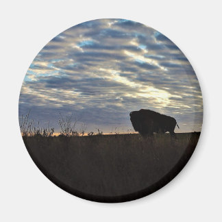 Bison Silhoutte  Magnet