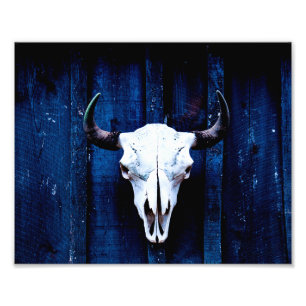 Bison Skull Photo Print